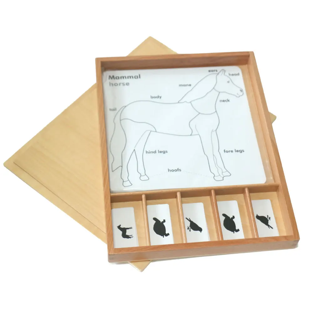 Montessori Teaching Aids Language Teaching Aids Kindergarten Educational Toy Large Size Animal Image Spell Card
Montessori Teaching Aids Language Teaching Aids Kindergarten Educational Toy Large Size Animal Image Spell Card