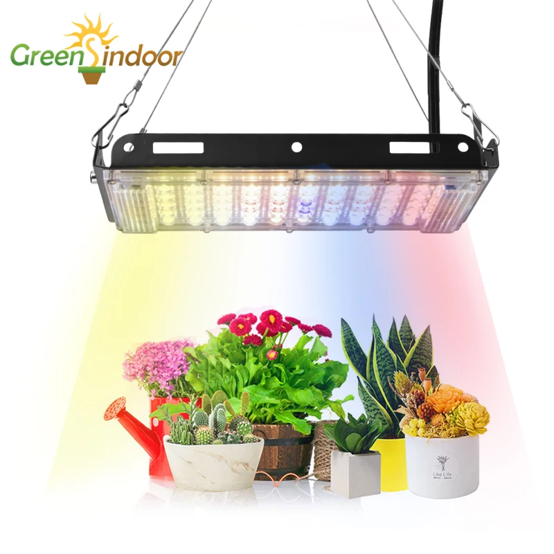 Grow Tent Full Spectrum LED Grow Light 3500K Warm White 5500K Cold White With Red And Blue Led Grow Indoor Phyto Lamp For Plant
Grow Tent Full Spectrum LED Grow Light 3500K Warm White 5500K Cold White With Red And Blue Led Grow Indoor Phyto Lamp For Plant