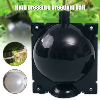 1/3pcs grafting rooting nursery box gardening propagation box propagation box plant rooting device propagation plant rooting bal
1/3pcs grafting rooting nursery box gardening propagation box propagation box plant rooting device propagation plant rooting bal