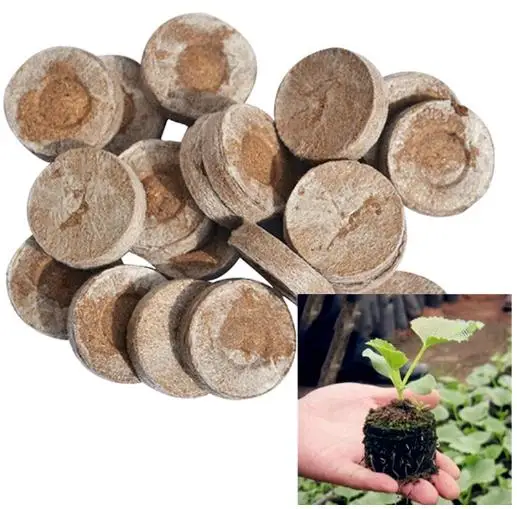 10pcs 3cm diameter seedling mud compressed nutrient block sowing seed compressed mud planting soil soil gardening supplies
10pcs 3cm diameter seedling mud compressed nutrient block sowing seed compressed mud planting soil soil gardening supplies