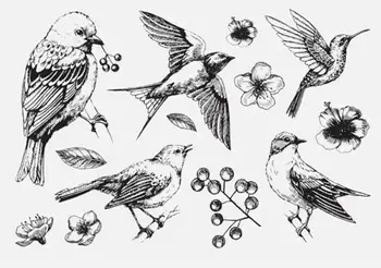 Bird Clear Stamps Scrapbook Paper Craft Clear stamp scrapbooking X0032 
Bird Clear Stamps Scrapbook Paper Craft Clear stamp scrapbooking X0032
