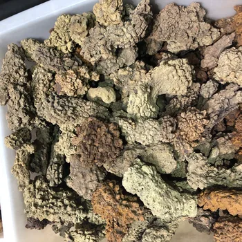150g Authentic Prehistoric Dinosaur PoopCoprolite Feces Trace Fossil Madagascar 
150g Authentic Prehistoric Dinosaur PoopCoprolite Feces Trace Fossil Madagascar