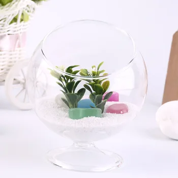 Home Deco Hydroponic Aquarium Fish Glass Vase Tank Plant Container Terrarium Popular New
Home Deco Hydroponic Aquarium Fish Glass Vase Tank Plant Container Terrarium Popular New