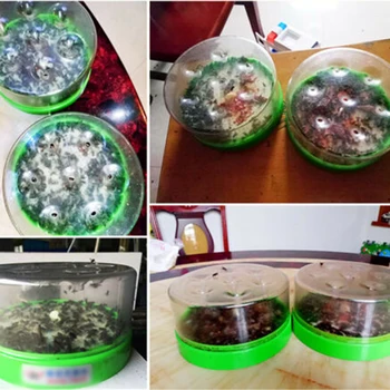 Extra Flycatcher Fly Trap Catcher Flies Killer Attractants Bait Home 15.5*7.6cm
Extra Flycatcher Fly Trap Catcher Flies Killer Attractants Bait Home 15.5*7.6cm