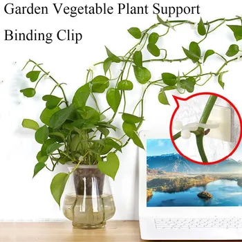 100pcs S/M/L Plant Vines Support Clips Stem Vegetable Fixing Clip Garden Greenhouse Fruite Tied Buckle Lashing Hook Fixed Clip
100pcs S/M/L Plant Vines Support Clips Stem Vegetable Fixing Clip Garden Greenhouse Fruite Tied Buckle Lashing Hook Fixed Clip