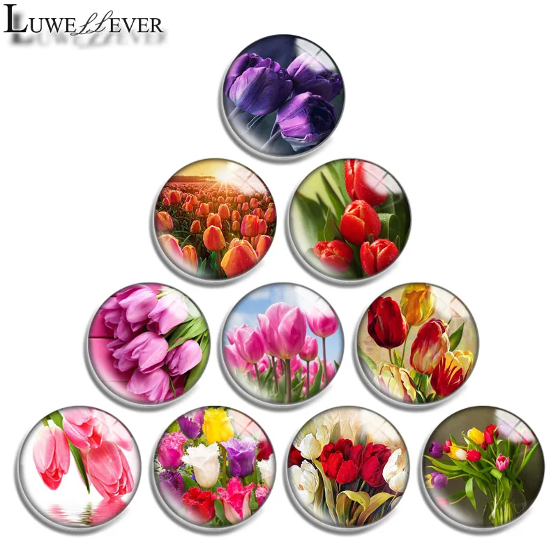 

12mm 14mm 16mm 20mm 25mm 30mm 650 Tulip Mix Round Glass Cabochon Jewelry Finding 18mm Snap Button Charm Bracelet