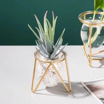 Table Desk Bulb ABS Hydroponic Vases Flower Plant Pot with Iron Tray Office Decor C44
Table Desk Bulb ABS Hydroponic Vases Flower Plant Pot with Iron Tray Office Decor C44