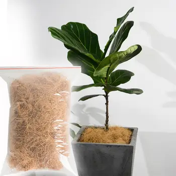 Natural Coconut Fiber Plants Bonsai Cover Flowerpot Gardening Plant Decoration For Garden Potted Plant Botany Keep Warm 
Natural Coconut Fiber Plants Bonsai Cover Flowerpot Gardening Plant Decoration For Garden Potted Plant Botany Keep Warm