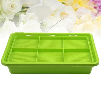 Double Layers Thicken Seed Sprouter Tray Soil-Free Food Grade PP Resin Healthy Wheatgrass Grower 32x22cm (Green) 
Double Layers Thicken Seed Sprouter Tray Soil-Free Food Grade PP Resin Healthy Wheatgrass Grower 32x22cm (Green)
