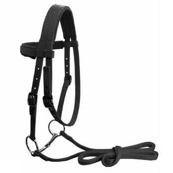 Adjustable Horse Riding Equipment Halter Horse Bridle with Bit and Rein Belt for Horse Equestrian Accessories Soft Thicken Large
Adjustable Horse Riding Equipment Halter Horse Bridle with Bit and Rein Belt for Horse Equestrian Accessories Soft Thicken Large