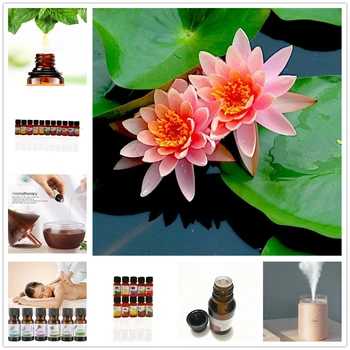 10ml Pure Essential Oils For Aromatherapy Diffuser Relieve Stress Calmness Massage Red spider lily Aroma Essential Oil
10ml Pure Essential Oils For Aromatherapy Diffuser Relieve Stress Calmness Massage Red spider lily Aroma Essential Oil