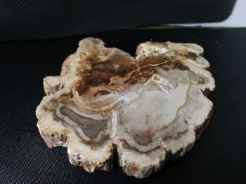 345.8gNatural fossil wood chips, quartz crystal agate flower stone coasters, landscape Pieces
345.8gNatural fossil wood chips, quartz crystal agate flower stone coasters, landscape Pieces