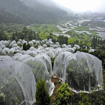 5m 80Mesh Insect Netting Fruit Trees Pest Control Plants Protection Cover PE Nylon Net Mosquito Aphids Net Pest Reject Repeller
5m 80Mesh Insect Netting Fruit Trees Pest Control Plants Protection Cover PE Nylon Net Mosquito Aphids Net Pest Reject Repeller