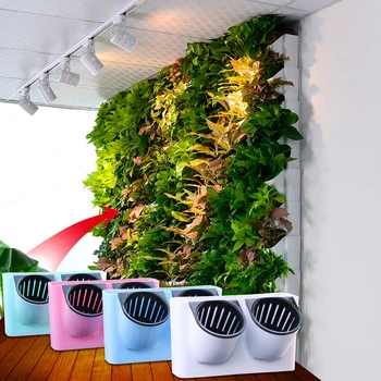 4 colors Wall-mounted automatic water absorption flower pot lazy automatic watering plant flower pot home wall decoration
4 colors Wall-mounted automatic water absorption flower pot lazy automatic watering plant flower pot home wall decoration