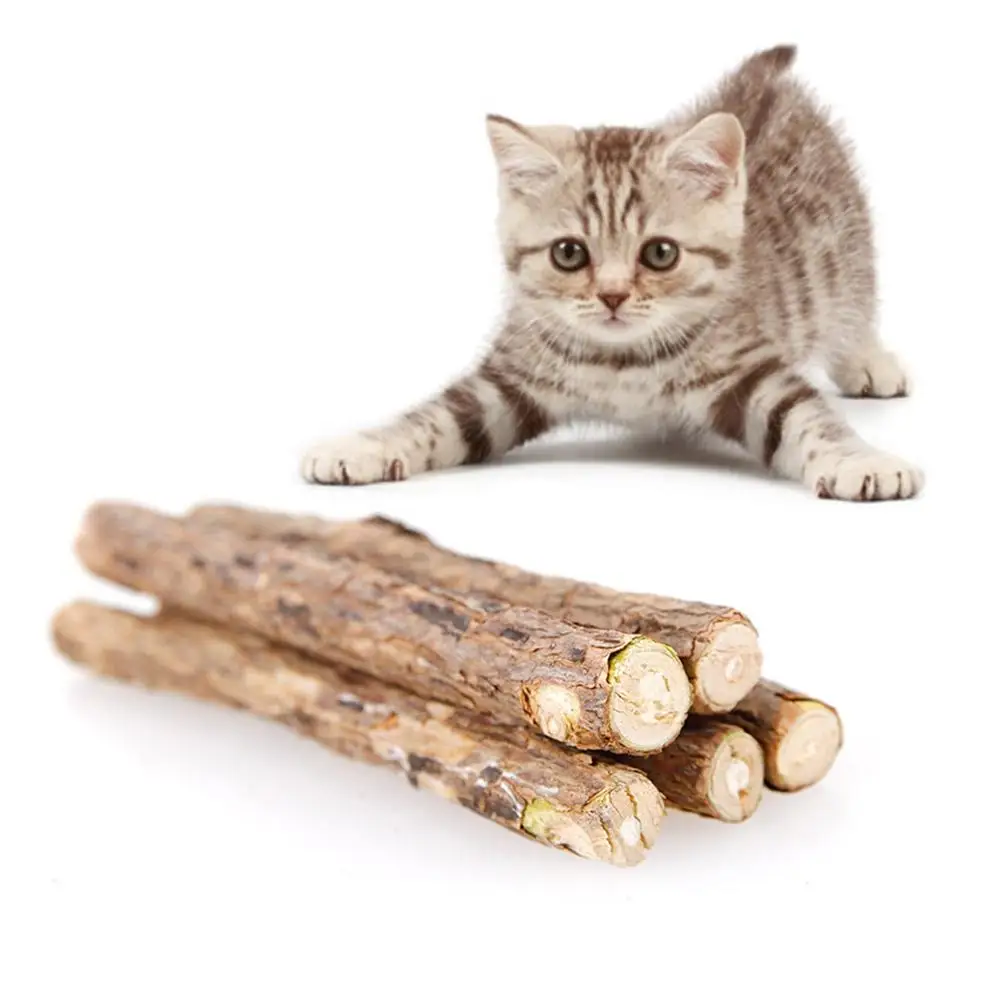 20pcs Cat Catnip Sticks Pet Teeth Cleaning Chew Toy For Cat 100% Natural Matatabi Dental Treats Molar Sticks Teeth Grinding Food
20pcs Cat Catnip Sticks Pet Teeth Cleaning Chew Toy For Cat 100% Natural Matatabi Dental Treats Molar Sticks Teeth Grinding Food