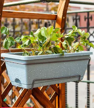 Family balcony vegetable pot vegetable planting box plastic flower pot vegetable equipment Indoor railing plastic planting box
Family balcony vegetable pot vegetable planting box plastic flower pot vegetable equipment Indoor railing plastic planting box