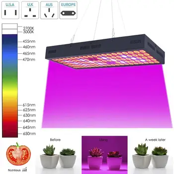 3000W LED Grow Light Hydroponic Full Spectrum Indoor Veg Plant Lamp Panel 3000W Grow Light LED Grow Light
3000W LED Grow Light Hydroponic Full Spectrum Indoor Veg Plant Lamp Panel 3000W Grow Light LED Grow Light
