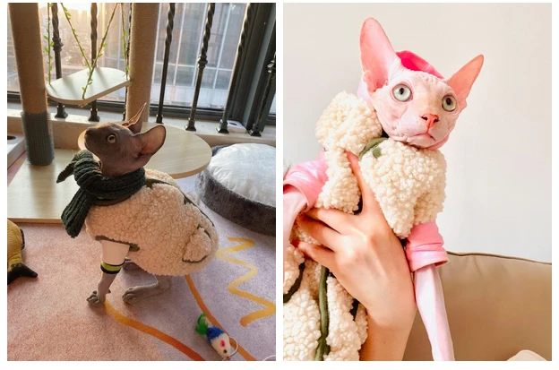 Colete Com Cachecol - Barkify™