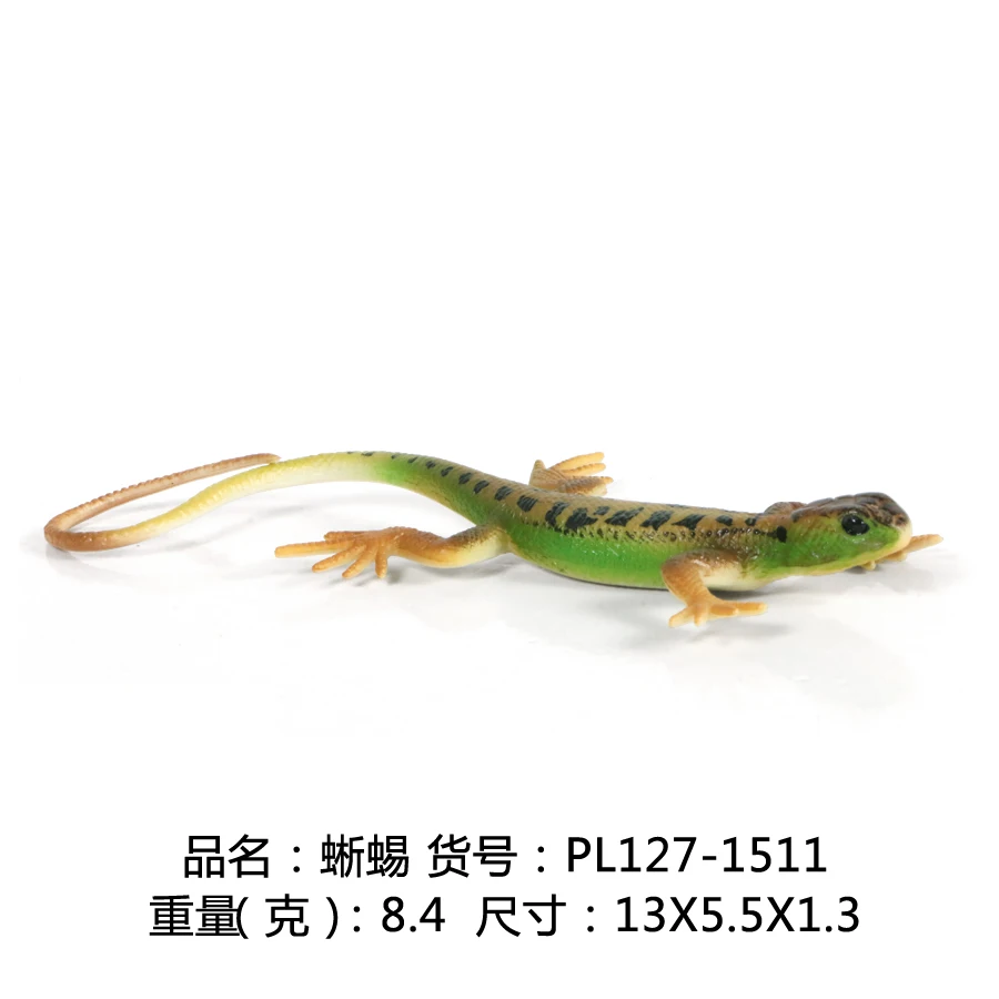 PL127-1511 蜥蜴