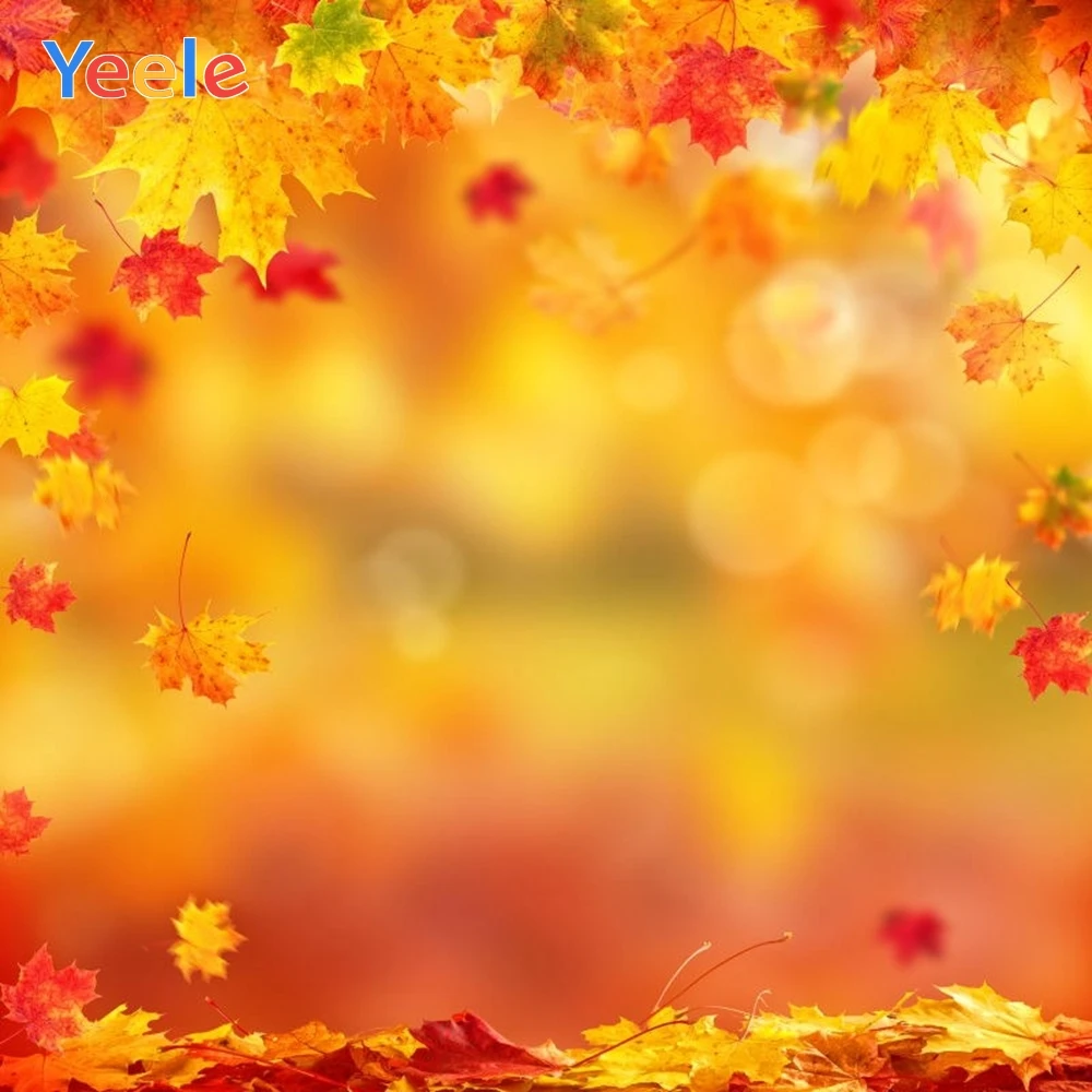 Yeele Autumn Forest Leaves Backdrop Newborn Baby Shower Boy Birthday Party Photography Background For Photo Studio Photophone
Yeele Autumn Forest Leaves Backdrop Newborn Baby Shower Boy Birthday Party Photography Background For Photo Studio Photophone
