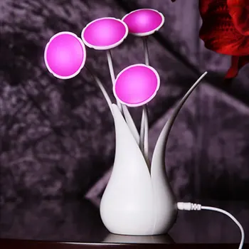 Bouquet Home Decorative Night Light Led USB Power Light Control LED Nightlamp for Bedroom Novelty LED Bedside Lamp Desk Light
Bouquet Home Decorative Night Light Led USB Power Light Control LED Nightlamp for Bedroom Novelty LED Bedside Lamp Desk Light