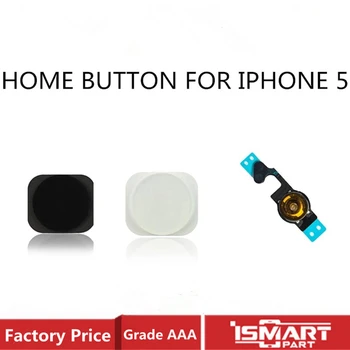 for iPhone 5 Home Button Menu Return fingerprint key Assembly Flex Cable Sensor Ribbon Complete A1428 A1429 A1442 Parts
for iPhone 5 Home Button Menu Return fingerprint key Assembly Flex Cable Sensor Ribbon Complete A1428 A1429 A1442 Parts