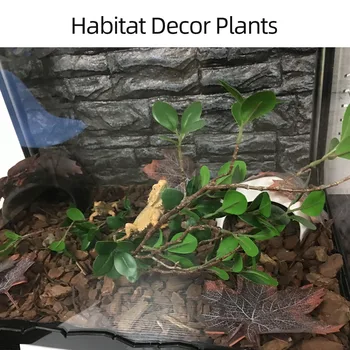 Artificial Plastic Terrarium Plant Leaves Branches Simulated Plant for Lizard Frog Spider Snake Reptiles Pets Habitat Decor
Artificial Plastic Terrarium Plant Leaves Branches Simulated Plant for Lizard Frog Spider Snake Reptiles Pets Habitat Decor