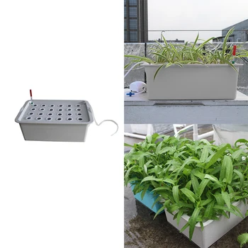 24 Holes Plant Site Hydroponic Garden Pots Planters System Indoor Garden Cabinet Box Grow Kit Bubble Nursery Pots
24 Holes Plant Site Hydroponic Garden Pots Planters System Indoor Garden Cabinet Box Grow Kit Bubble Nursery Pots