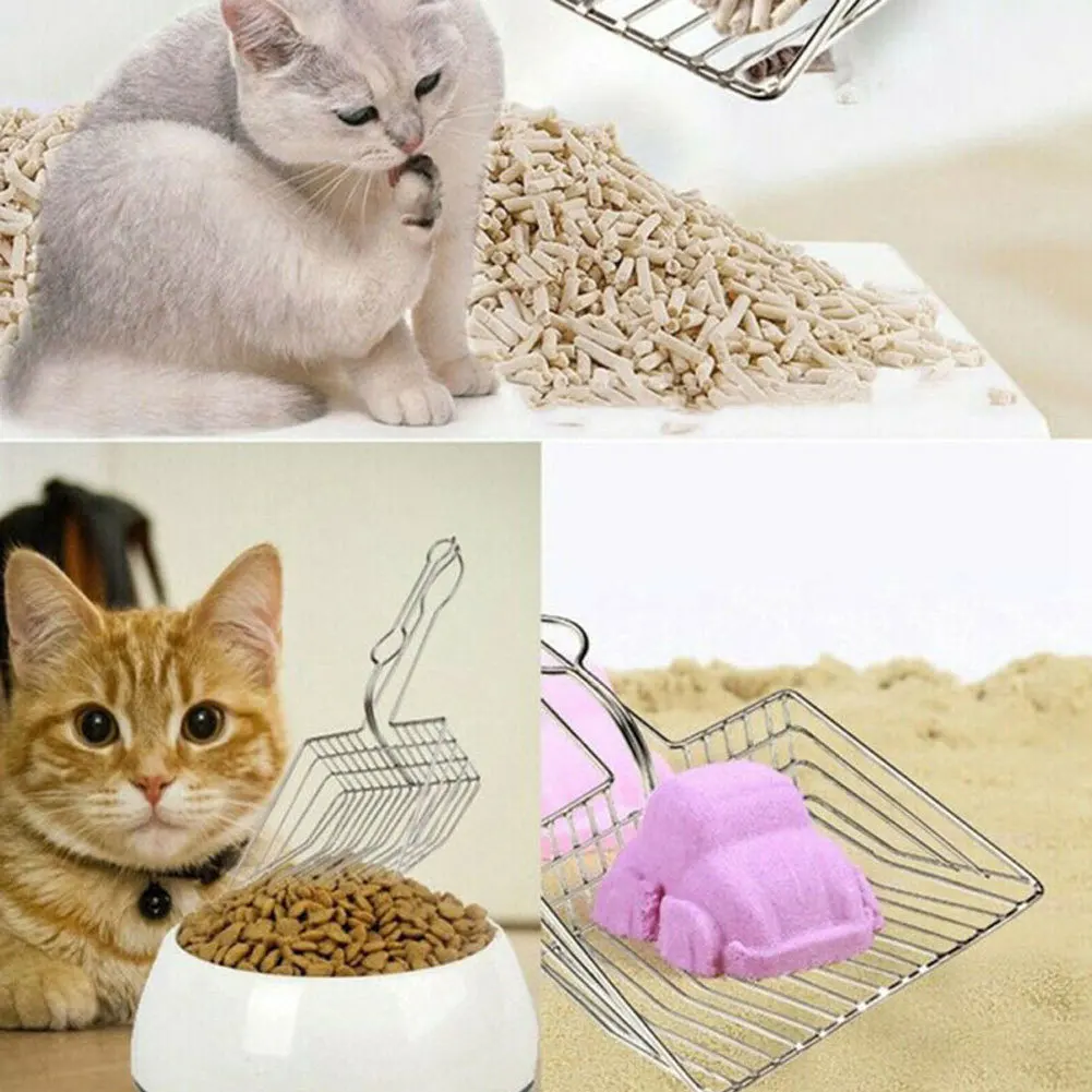 cheap cat litter sand