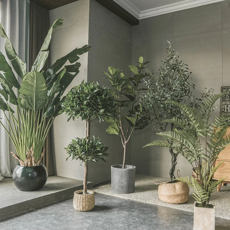 GY Simulation Plant Ornamental Flower Fake Trees Lazy Green Plant Nordic Bonsai Floor Soft Decoration Ficus Lyrata Green Plant
GY Simulation Plant Ornamental Flower Fake Trees Lazy Green Plant Nordic Bonsai Floor Soft Decoration Ficus Lyrata Green Plant