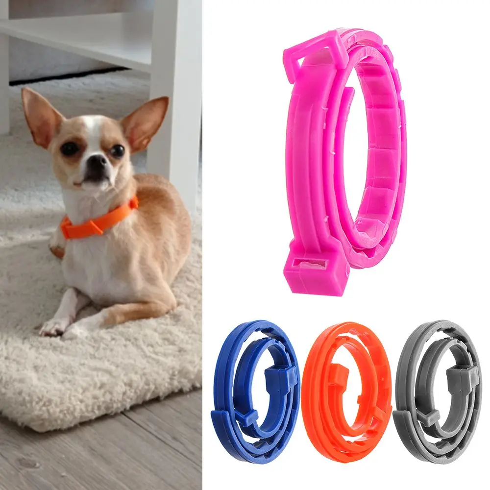 Pet 8 Month Prevention One Size Fits All Rubber Flea and Tick Protection Flea and Tick Collar Adjustable for Dogs Cats
Pet 8 Month Prevention One Size Fits All Rubber Flea and Tick Protection Flea and Tick Collar Adjustable for Dogs Cats