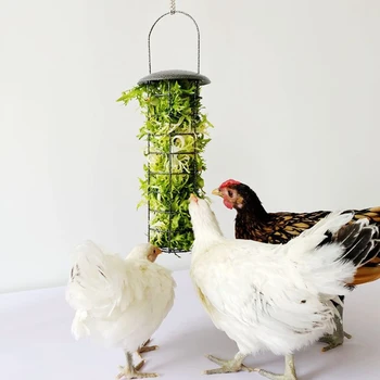 Chicken Feeder Basket Vegetable Fruit Veggie Hanging Coop Pigeon Chick Rooster Hen Fun Foraging Metal Treat Box Feeding Tool
Chicken Feeder Basket Vegetable Fruit Veggie Hanging Coop Pigeon Chick Rooster Hen Fun Foraging Metal Treat Box Feeding Tool