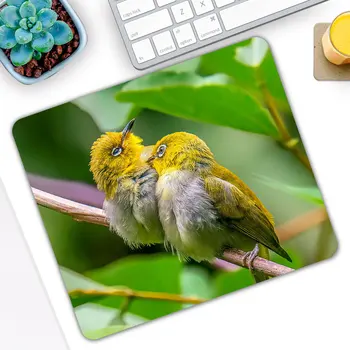Popular Animal Bird Gaming Mause Mouse Pad Gamer Computer Mousepad Game Desk Keyboard Mice Mat
Popular Animal Bird Gaming Mause Mouse Pad Gamer Computer Mousepad Game Desk Keyboard Mice Mat