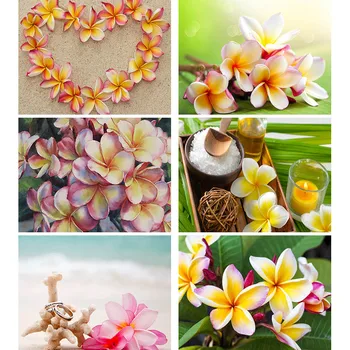 Full Round Square 5D DIY Diamond Embroidery Frangipani Flower Cross Stitch Diamond Painting Petal Scenery Mosaic Decor Gift H98