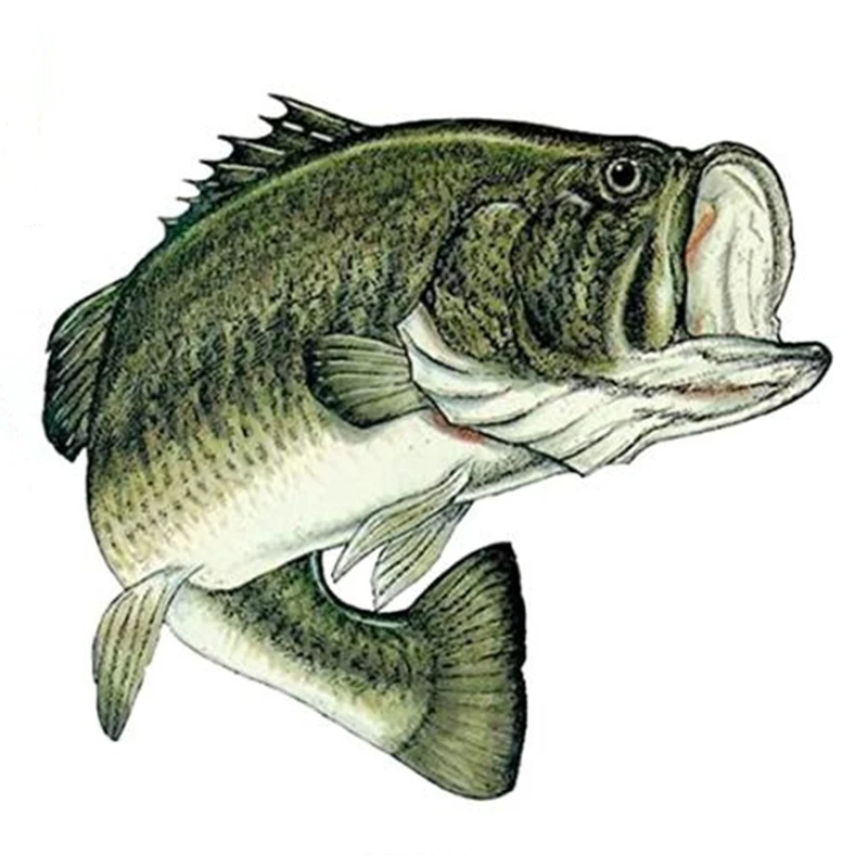 DAWASARU fish sticker decal fishing bumper fish vinyl sticker / Cover scratch / decoration creative car sticker Custom 13*13CM
DAWASARU fish sticker decal fishing bumper fish vinyl sticker / Cover scratch / decoration creative car sticker Custom 13*13CM