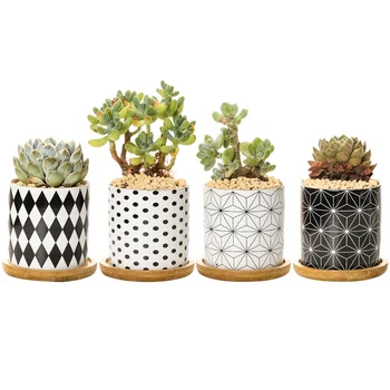 1 Set 8Pcs Fashion Geometric Creative Fleshiness Pots Flower Pots Plant Pots Ceramics Planter
1 Set 8Pcs Fashion Geometric Creative Fleshiness Pots Flower Pots Plant Pots Ceramics Planter