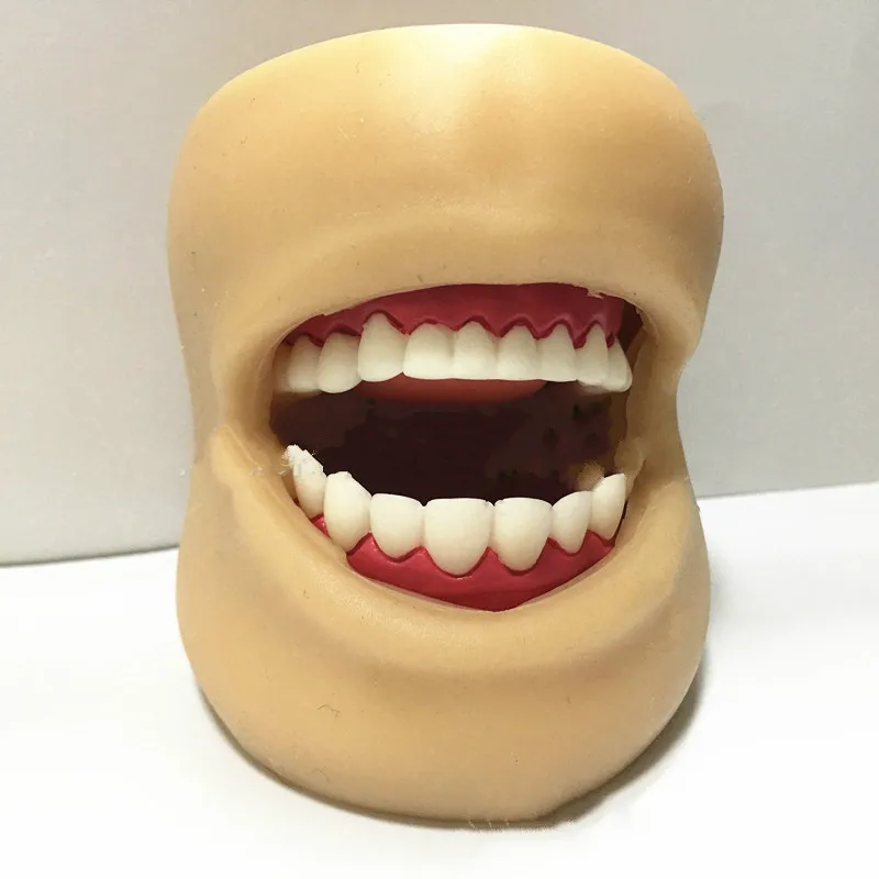 Зубная фантомная головка для Стоматологической школы модель здоровья зубов с