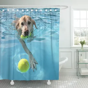 Shower Curtain Yellow Labrador Dog at Local Public Pool Blue Summer Lab Waterproof Polyester Fabric Set with Hooks
Shower Curtain Yellow Labrador Dog at Local Public Pool Blue Summer Lab Waterproof Polyester Fabric Set with Hooks
