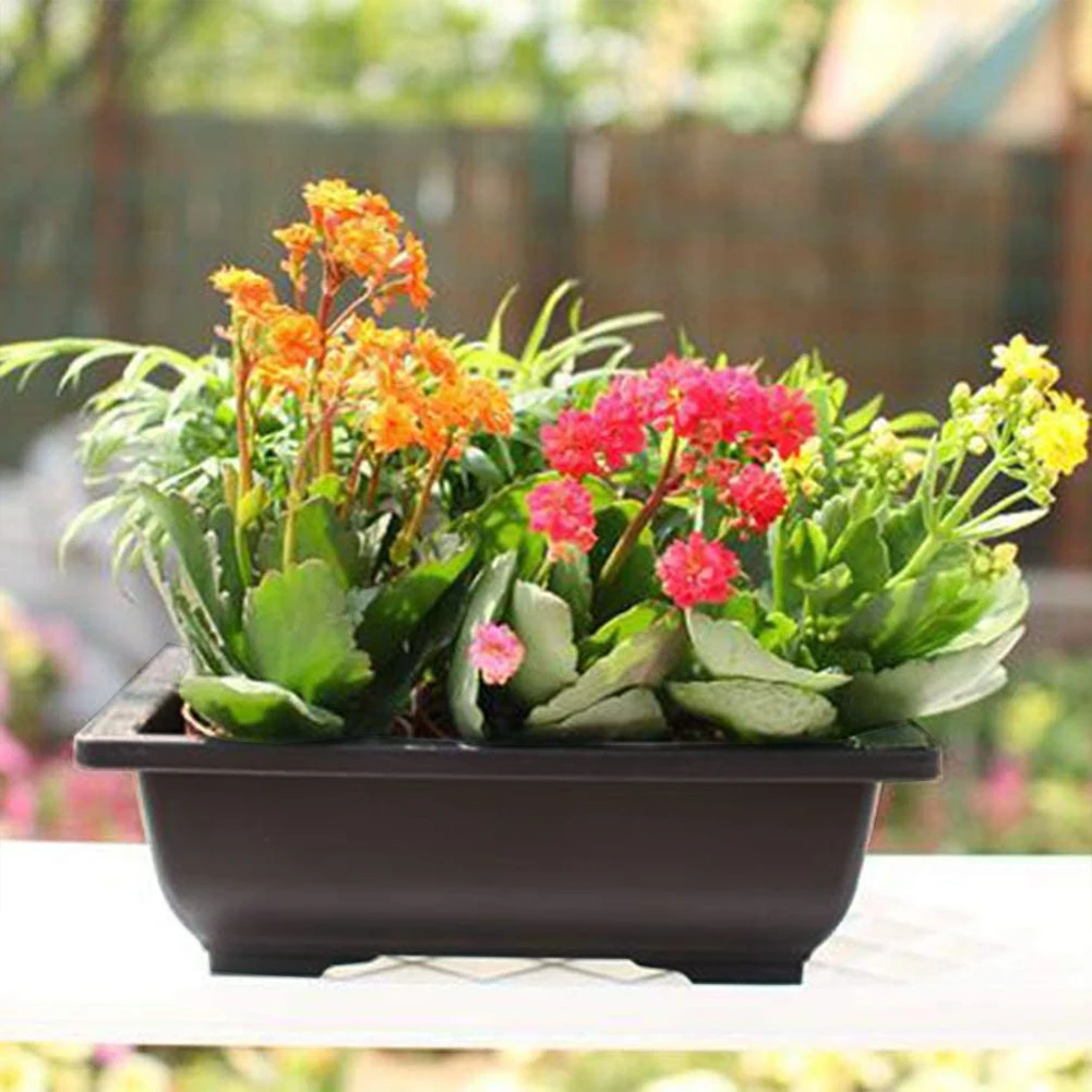 Bonsai Training Pot Basin Flower Pot Bowl Nursery Plastic Square Rectangle Container for Plant Succulent Bonsai Training Pots
Bonsai Training Pot Basin Flower Pot Bowl Nursery Plastic Square Rectangle Container for Plant Succulent Bonsai Training Pots