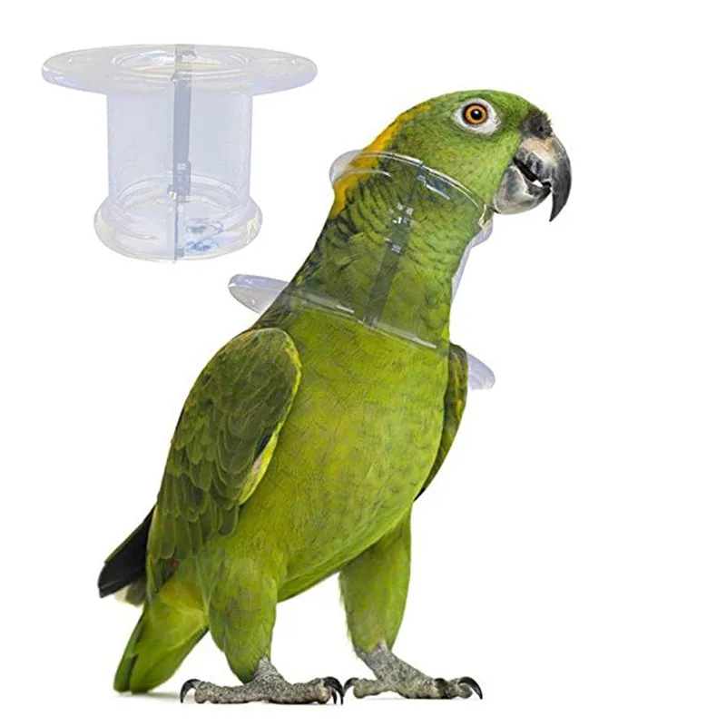 Bird protective bead parrot anti feather picking anti-plucking Collar medical anti-biting collar Elizabethan Goffins Cockatoo
Bird protective bead parrot anti feather picking anti-plucking Collar medical anti-biting collar Elizabethan Goffins Cockatoo