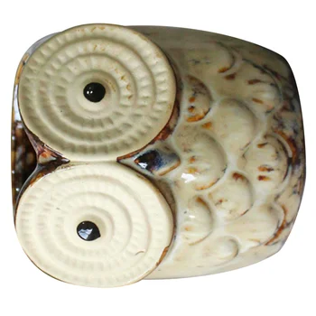 2PCS Owl Design Succulent Pots Creative Planters Ceramic Pots Containers for Home Garden Balcony
2PCS Owl Design Succulent Pots Creative Planters Ceramic Pots Containers for Home Garden Balcony