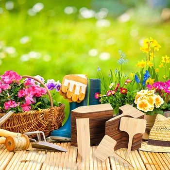 Bamboo Garden Plant Labels Garden Markers Bamboo Tags Seedling Signs Nursery Tags Reusable for Vegetable Herb Flowe
Bamboo Garden Plant Labels Garden Markers Bamboo Tags Seedling Signs Nursery Tags Reusable for Vegetable Herb Flowe