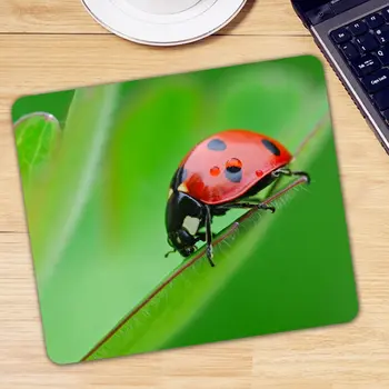Ladybird Ladybug Game Gamer Rectangle Mousepad Computer Pc Gaming Mouse Pad Non-slip Rubber Office Laptop Desk Mause Mice Mat
Ladybird Ladybug Game Gamer Rectangle Mousepad Computer Pc Gaming Mouse Pad Non-slip Rubber Office Laptop Desk Mause Mice Mat