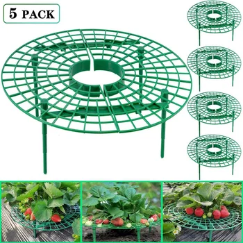 5Pcs Strawberry Stand Frame Holder Fruit Gg Frame Plant Support Holder Far From Soil Avoid Ground Rot
5Pcs Strawberry Stand Frame Holder Fruit Gg Frame Plant Support Holder Far From Soil Avoid Ground Rot