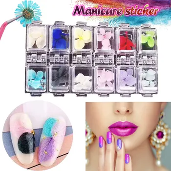 Nail Art Femme 12 Colors 3D Decoration Real Dry Dried Flower For UV Gel Acrylic Nail Art Tips nail stickers Nagel Mujer chiodo
Nail Art Femme 12 Colors 3D Decoration Real Dry Dried Flower For UV Gel Acrylic Nail Art Tips nail stickers Nagel Mujer chiodo