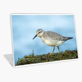Red Knot Laptop Vinyl Sticker Skin Cover For 13 14 15.6 17 Notebook decal for Macbook asus Acer Hp Lenovo Huawei Dell Msi
Red Knot Laptop Vinyl Sticker Skin Cover For 13 14 15.6 17 Notebook decal for Macbook asus Acer Hp Lenovo Huawei Dell Msi