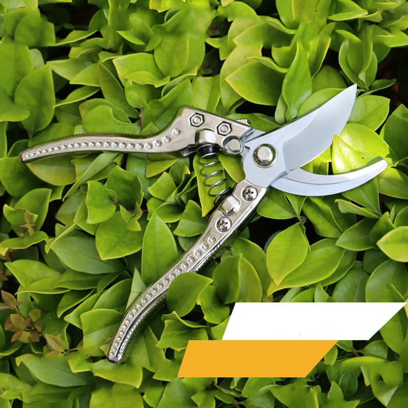 Garden Pruning Shears Multi-spec Shrub Manual Pruning Tools Powerful Ratchet Rootstock Graft Trimming Tools
Garden Pruning Shears Multi-spec Shrub Manual Pruning Tools Powerful Ratchet Rootstock Graft Trimming Tools
