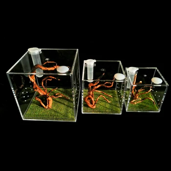 High Penetration Reptile Box Acrylic Landscape Feeding Box Spider Feeding Box Insect Mantis Feeding Box Climbing Pet Tank 
High Penetration Reptile Box Acrylic Landscape Feeding Box Spider Feeding Box Insect Mantis Feeding Box Climbing Pet Tank