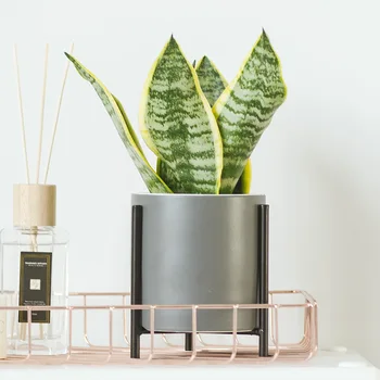 NORDIC SIMPLE IRON CERAMIC FLOWER POT MODERN INDOOR PERSONALITY CREATIVE HOME SUCCULENT GREEN DILL FLOWER POT FLOWER DECORATION
NORDIC SIMPLE IRON CERAMIC FLOWER POT MODERN INDOOR PERSONALITY CREATIVE HOME SUCCULENT GREEN DILL FLOWER POT FLOWER DECORATION