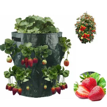 Garden Tools Strawberry Planting Bag With Planter Pockets 10 Gallon With Handle Grow Bag Vertical Garden Jardin Vertical 
Garden Tools Strawberry Planting Bag With Planter Pockets 10 Gallon With Handle Grow Bag Vertical Garden Jardin Vertical